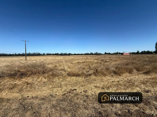 Parcelas En Venta 5000m2 Camino A Cato Chillán