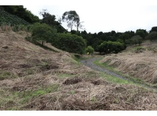 Venta Lotes - Vereda La Esperanza - Pereira