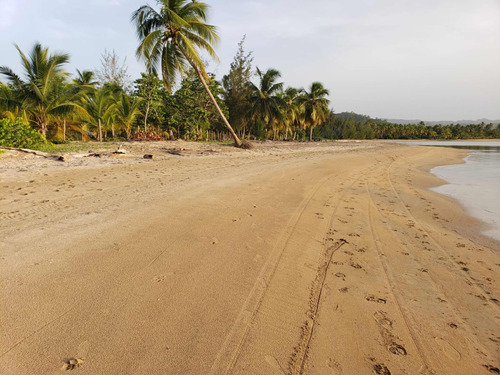 Terrenos Samana Y Galera