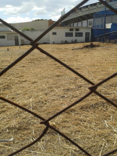 Imagem 3 de 5 de Terreno - Te00007 - 69490930