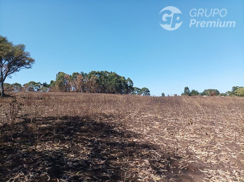 Imagen 9 de 17 de Terreno Agrícola En Venta En Victoria