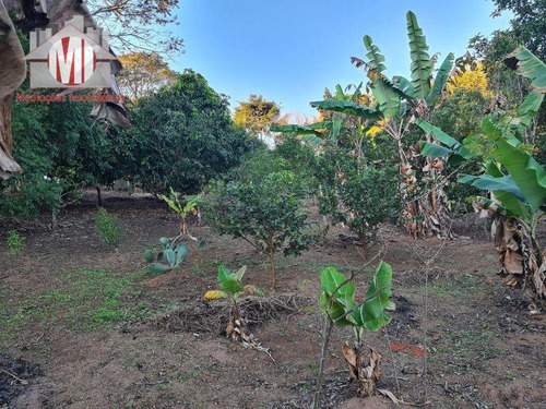 Imagem 17 de 30 de Ótima Chácara Com 4 Dormitórios, Edícula, Salão De Jogos, Pomar, Horta, Bem Localizada, À Venda, 5000 M² Por R$ 630.000 - Zona Rural - Pinhalzinho/sp - Ch0984