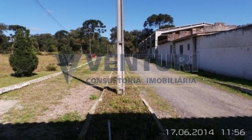 Imagem 8 de 15 de Chacara - Campina - Ref: 2046 - V-2046