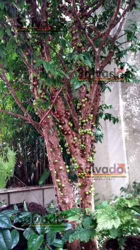Imagem 15 de 15 de Apartamento Para Venda, 3 Dormitório(s), 150.0m² - 7723
