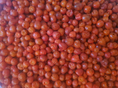 Chiltepin Nuevo Rojo De Temporada 1 Litro