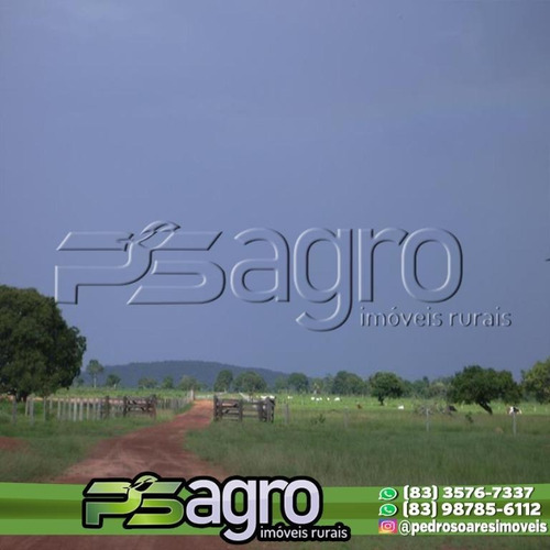 Imagem 5 de 10 de Fazenda À Venda, 83.848 Hectares Por R$ 280.000.000 - Zona Rural - São Felix Do Araguaia/mt - Fa0181