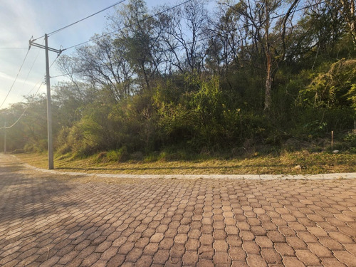 Venta Lote Gladiola 42 Con Vistas Panorámicas Y Todos Los Servicios Y Proyecto Incluído. A Unos Pasos De Las Amenidades En Nueva Zona De Fracc Rancho San Diego Ixtapan De La Sal Edomex