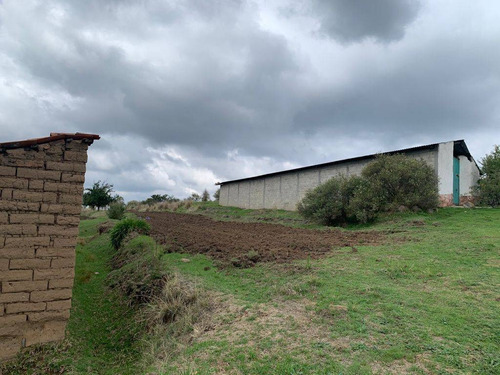 Imagen 4 de 12 de Terreno En Venta