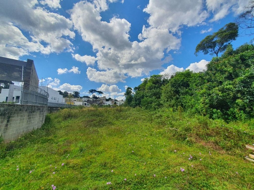 Imagem 18 de 19 de Área À Venda, 5053 M² Por R$ 1.350.000,00 - Tingui - Curitiba/pr - Ar0001