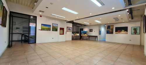 Imagen 8 de 27 de Vendo Edificio Comercial 900m2 Prados Del Este 0242