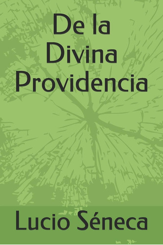 Libro: De La Divina Providencia (spanish Edition)