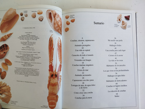 Libro Moluscos Y Crustaceos-biblioteca Visual Altea-1990