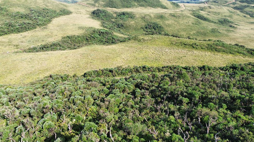 Oportunidade! 2 Hectares A Partir De R$ 99.000,00