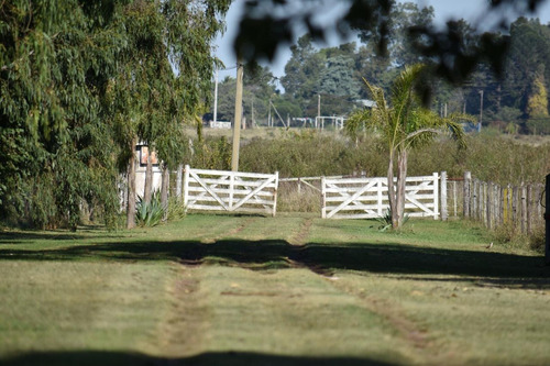 Terreno Y Lote (1) Zona Sur - M. Rivadavia