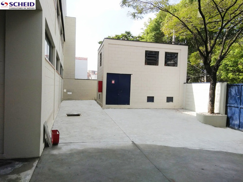 Imagem 1 de 8 de Oportunidade Galpão Reformado. - Mr63518