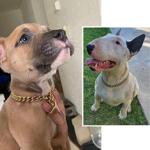 Cnn Collar Cadena Para Perro Grande, Gargantilla Cubana Y