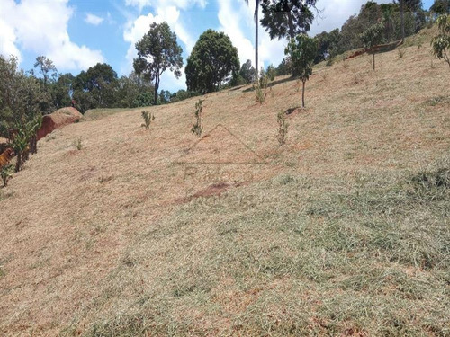 Imagem 13 de 16 de Área Jundiaizinho (terra Preta) Mairiporã/sp - 1309