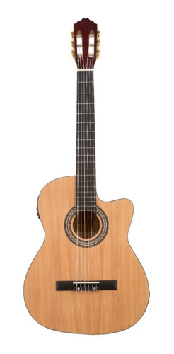 Guitarra Cuerdas Nylon C/funda Eq 3 Outlet Leer Descripcion
