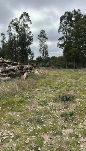 Inversión Ideal En Entorno Natural (134874)