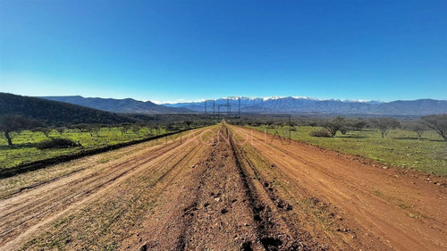 Sitios En Venta En Catapilco, Comuna De Zapallar