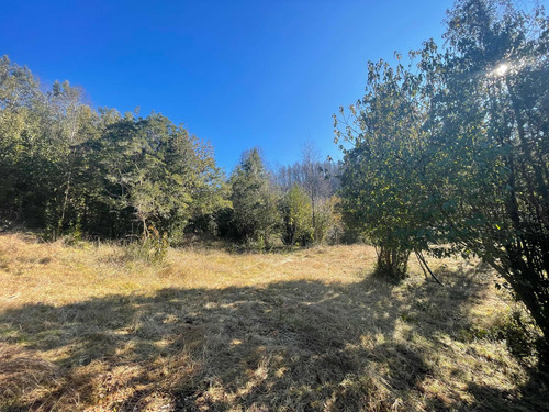 Terreno En Pucón De 10.000mts