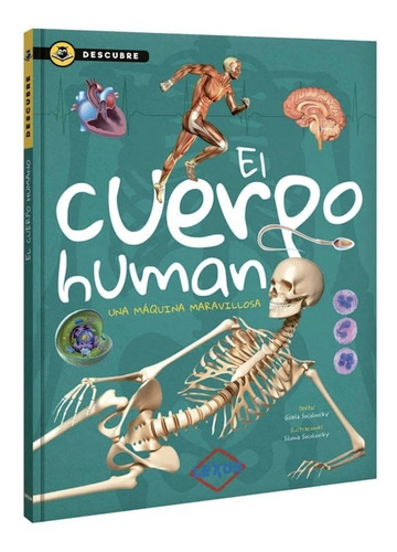 El Cuerpo Humano / Descubre (t.d)