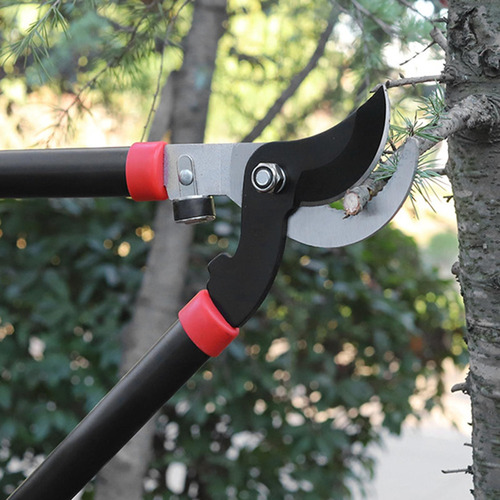 Tijeras De Podar Ramas Herramientas Manuales Tijeras Para