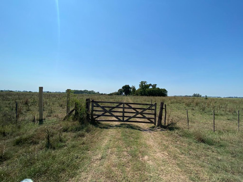 Campo En Venta, Ranchos.