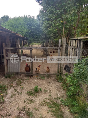 Imagem 10 de 17 de Fazenda / Sítio / Chácara, 2 Dormitórios, 150 M², São Tomé - 202468