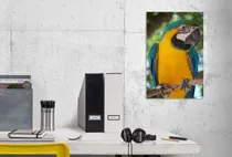 Comprar Cuadro 50x75cm Loro Guacamayo Colores Plumas Selva Ave M9