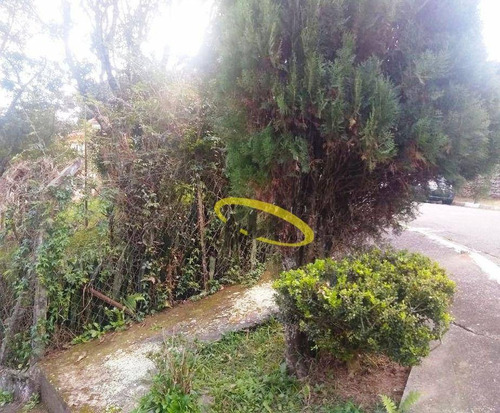 Imagem 12 de 13 de Terreno À Venda, 394 M² Por R$ 370.000,00 - Jardim Adelina - Cotia/sp - Te0911