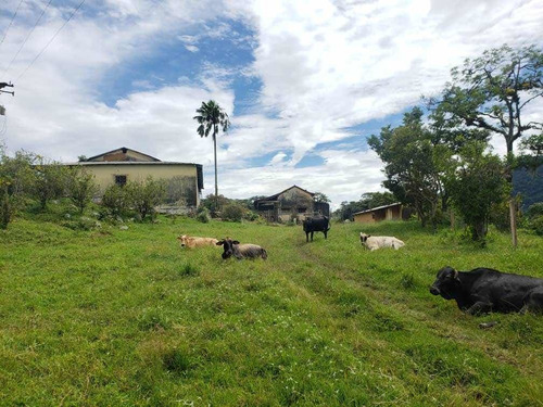 Finca Cafetera En Tachira