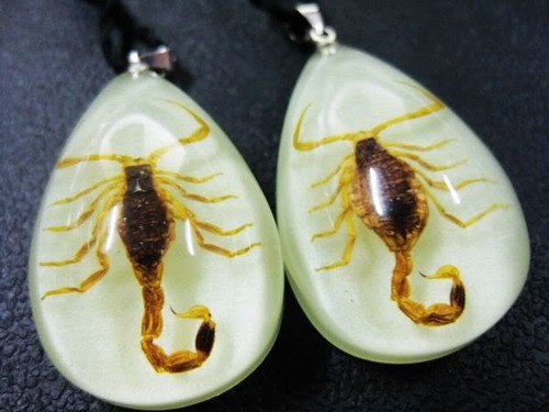 Collar Escorpión Oro Brilla En La Oscuridad Hombre Y Mujer