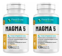 Comprar Kit 2x Magma 5 500mg 5 Fontes De Magnesio 2x120 Cps Floral