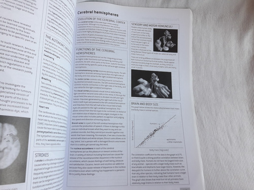 Imagen 5 de 7 de Biology For The Ib Diploma Ib Study Guide Allott Oxford