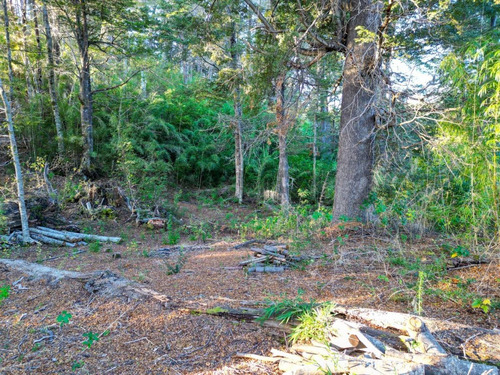 Imagen 5 de 12 de Venta Lote 3329m2 Con Vista Al Lago En Villa La Angostura, Bº Arauco Apto 3uf