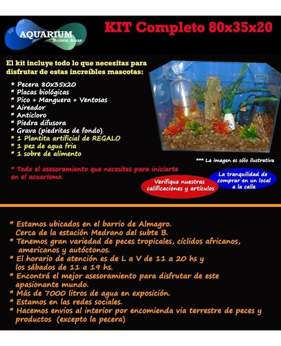 Kit Pecera Compl80x35x20 Con1 Pez Envios Gratis Ver Detall