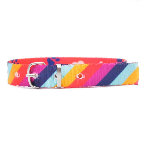 Collar Gato O Cachorro Diagonal Naranja