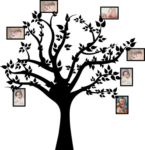 Imagen 1 de 2 de Vinilo Pared Arbol Con Fotos Vida