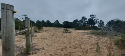 Terreno Muy Alto A La Venta En Punta Del Diablo