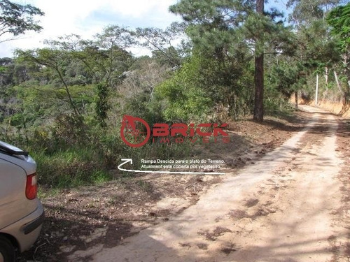 Imagem 9 de 10 de Ótimo Terreno Em Aclive De 2.330 M² Na Fazenda Suíça - Te00303 - 34701416