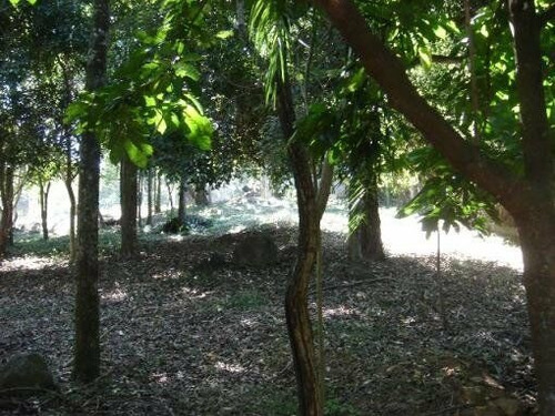 Imagem 2 de 6 de Terreno-para-venda-em-parque-jatibaia-(sousas)-campinas-sp - Te2132