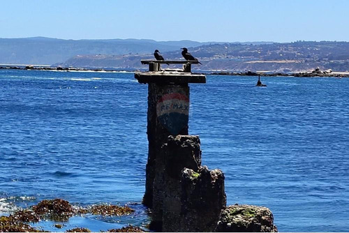 Inversión Ideal: Gran Terreno En Algarrobo,