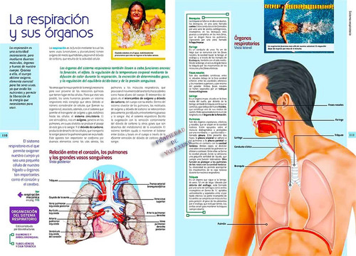 Libro Atlas Del Cuerpo Humano Con Cd Y Lentes 3d