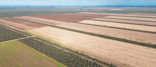 Campo En Santiago Del Estero