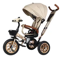 Comprar Triciclo Aluminio Musical Usb Baby Dore Llantas Inflables