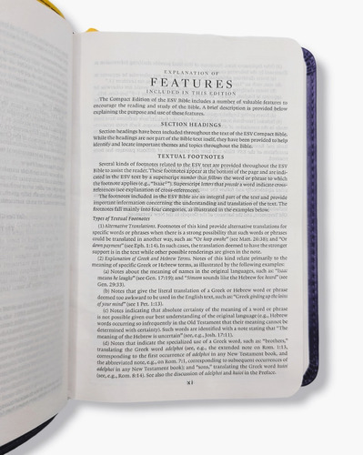 Imagen 7 de 10 de Compact Bible Esv Moonlight Owl Purple Yellow