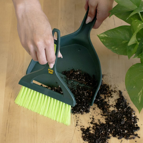 Juego De Mini Recogedor Y Cepillo Portátil Verde