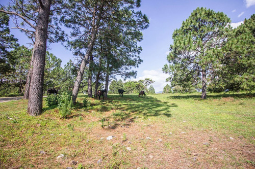 Terreno En Venta En Real De Encinos, Tapalpa, Jalisco.