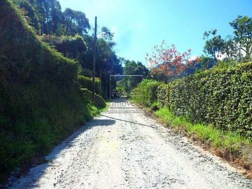 Imagem 4 de 6 de Terreno - Itaipava - Ref: 976 - V-976